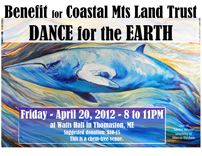 Dance for the Earth Whale poster